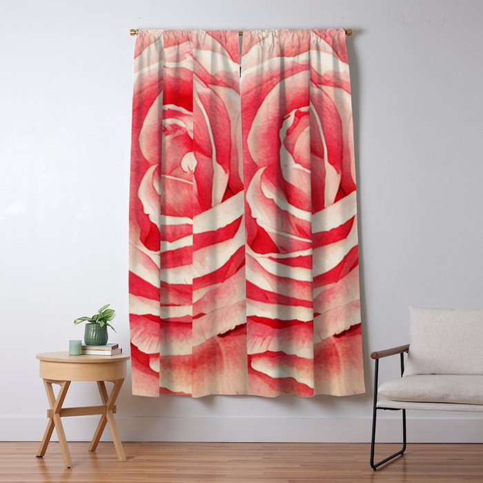 Close up pink rose Window Curtain Gallery Image 5