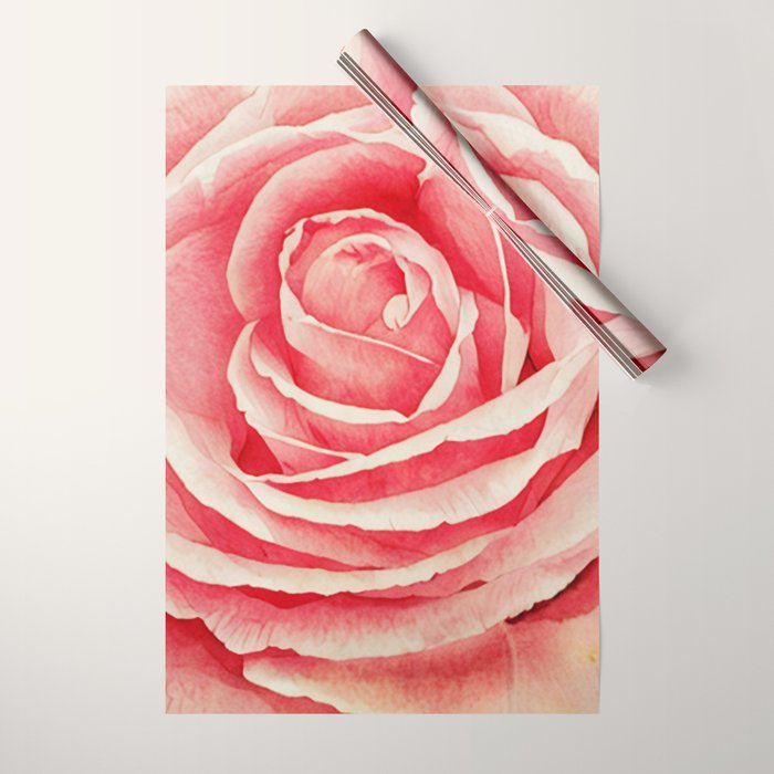 Close up pink rose Wrapping Paper Gallery Image 1