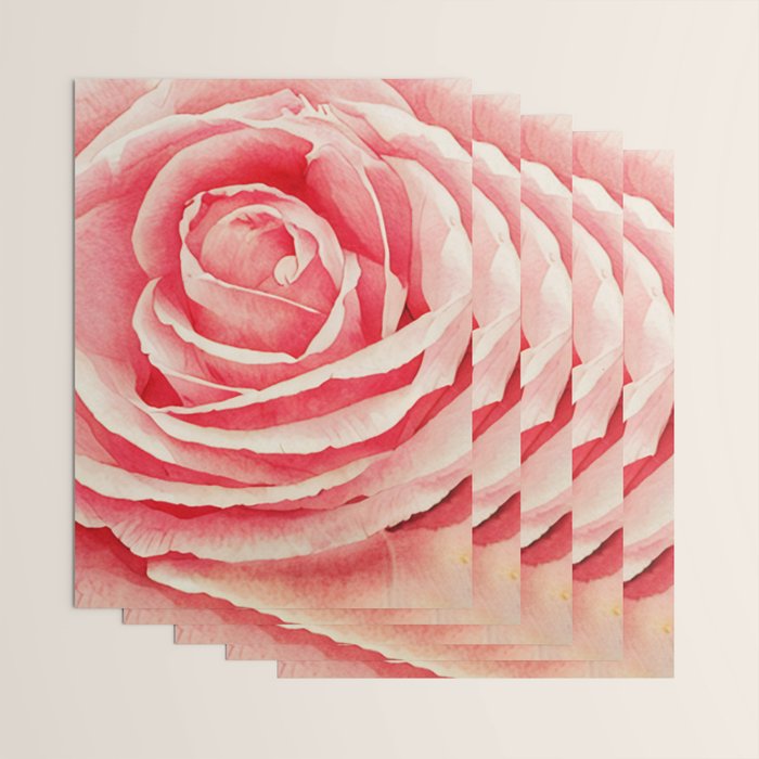 Close up pink rose Wrapping Paper Gallery Image 3