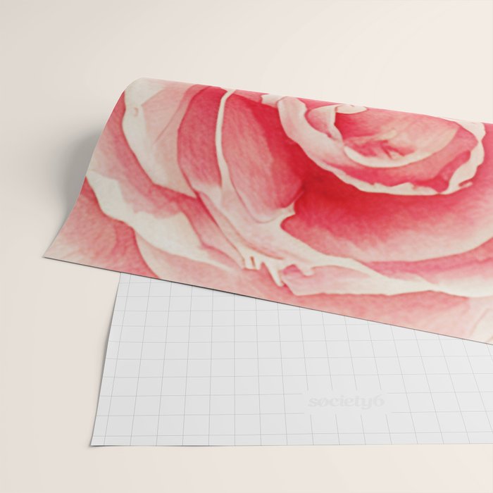 Close up pink rose Wrapping Paper Gallery Image 2