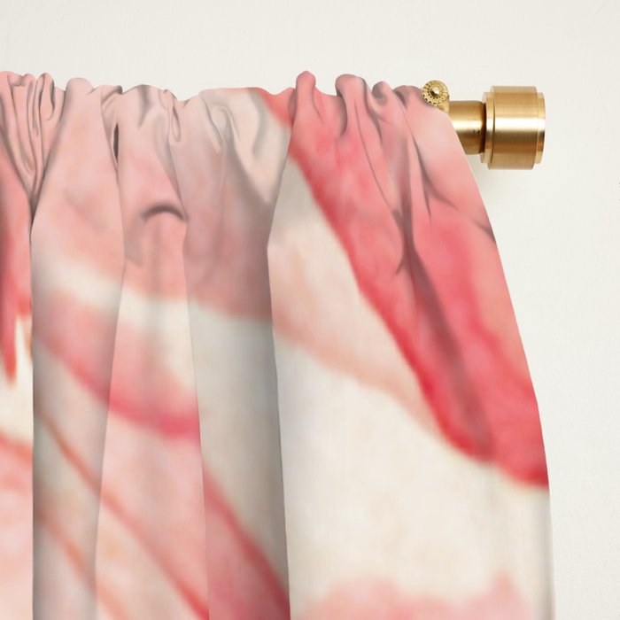 Close up pink rose Window Curtain Gallery Image 2