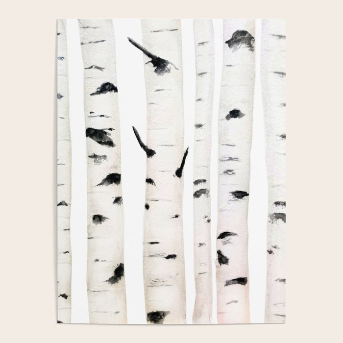 birch horizontal Poster Gallery Image 4