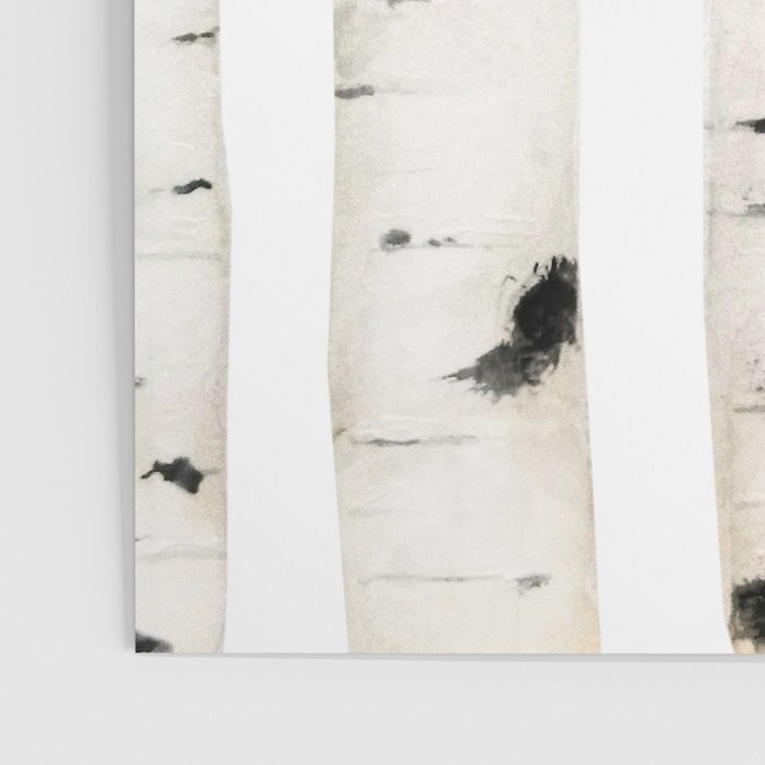 birch horizontal Poster Gallery Image 3