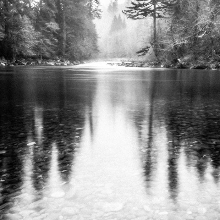 Forest Reflection Lake - Black and White  - Nature Photography Coffee Mug Gallery Image 2
