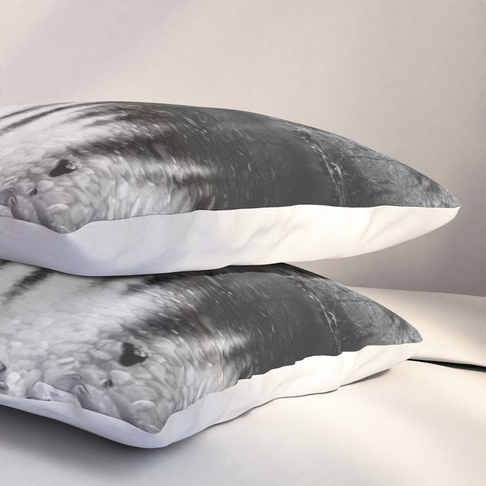 Forest Reflection Lake - Black and White  - Nature Photography Pillow Sham Gallery Image 3