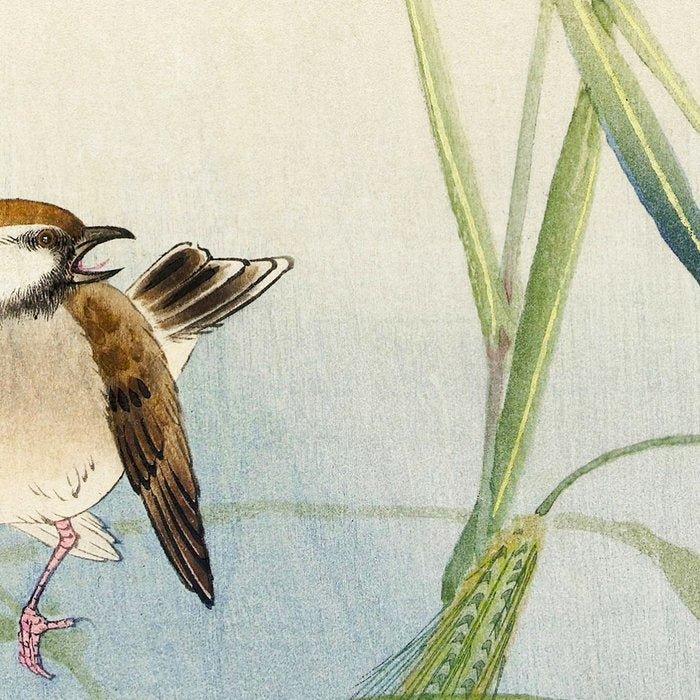 Sparrow and Butterfly  - Vintage Japanese Woodblock Print Art Coffee Mug Gallery Image 2