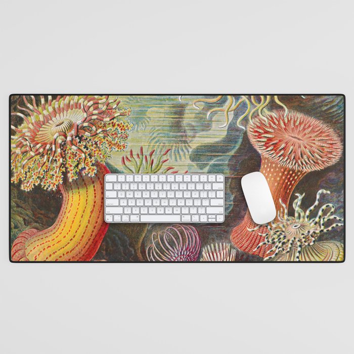 Ernst Haeckel Sea Anemones Vintage Illustration Desk Mat Gallery Image 1