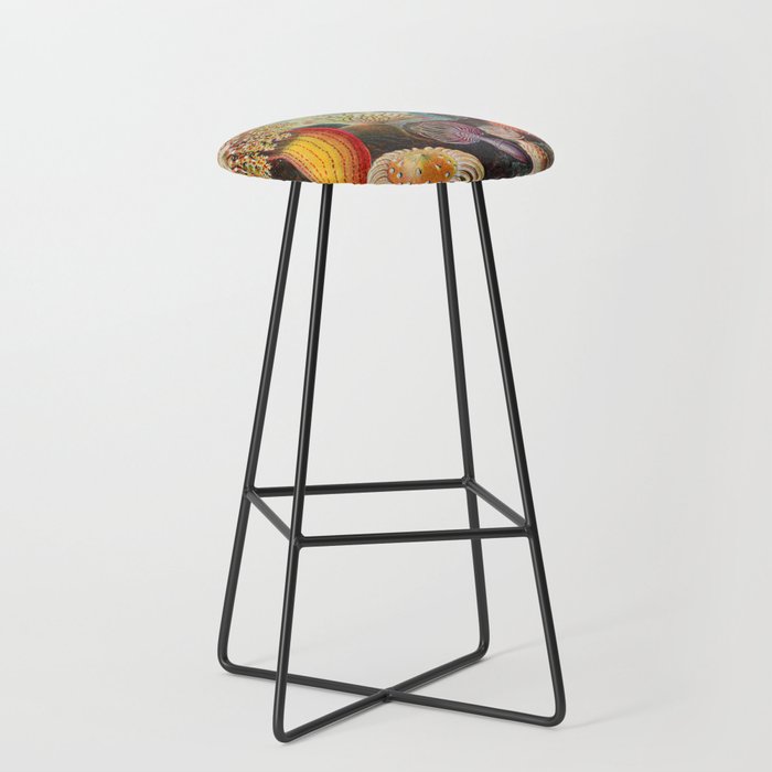 Ernst Haeckel Sea Anemones Vintage Illustration Stool Gallery Image 1