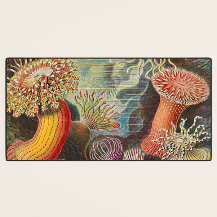 Ernst Haeckel Sea Anemones Vintage Illustration Desk Mat Gallery Image 3
