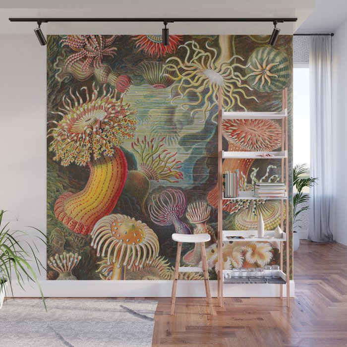 Ernst Haeckel Sea Anemones Vintage Illustration Wall Mural Gallery Image 1