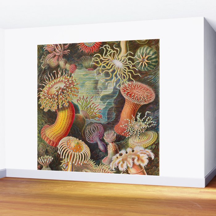 Ernst Haeckel Sea Anemones Vintage Illustration Wall Mural Gallery Image 2