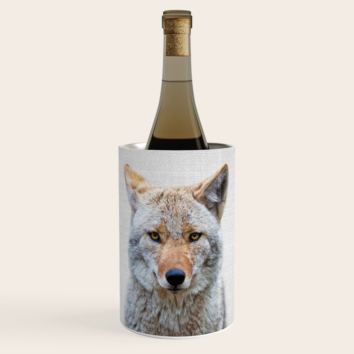 Coyote - Colorful Wine Chiller Gallery Image 1
