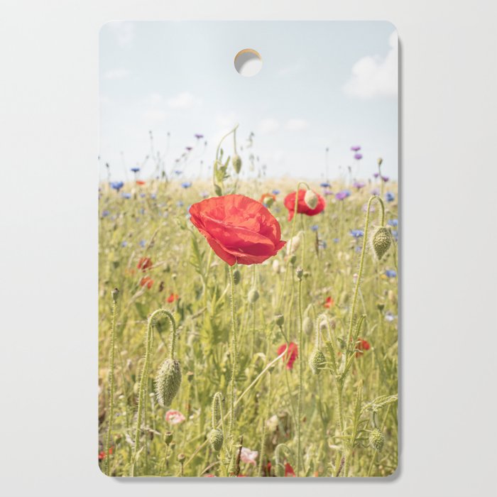 Wildflower Field | Poppy Flower in a Garden in Holland Art Print | Floral Summer Photography Cutting Board Gallery Image 1
