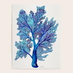 Sea Fan Coral - Blue OmbrÃ© Poster Gallery Image 4