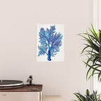 Sea Fan Coral - Blue OmbrÃ© Poster Gallery Image 2
