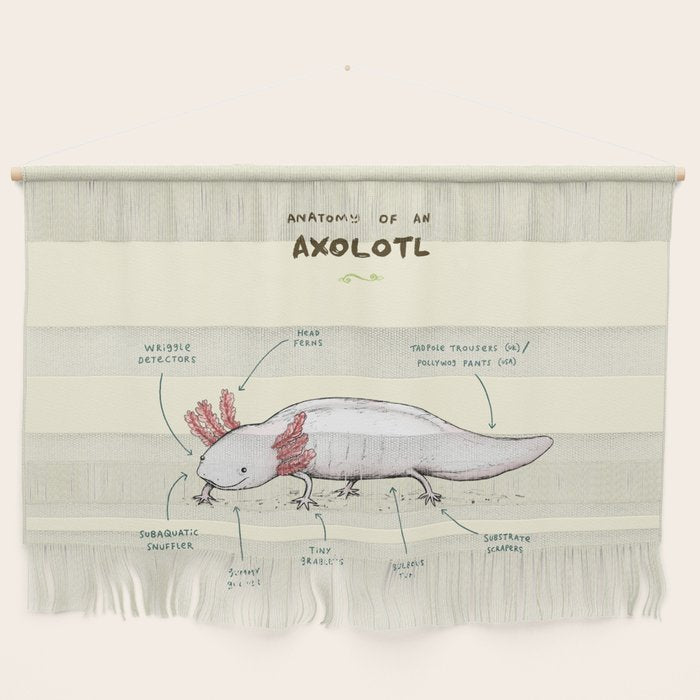 Anatomy of an Axolotl Wall Hanging Gallery Image 1