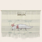 Anatomy of an Axolotl Wall Hanging Gallery Image 1