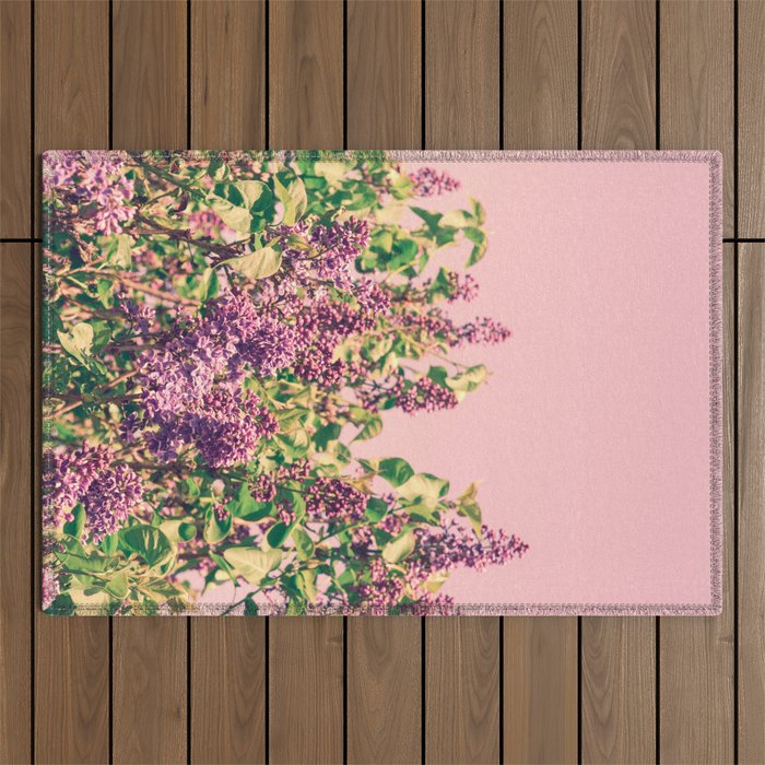 BLISS Outdoor Rug Gallery Image 1