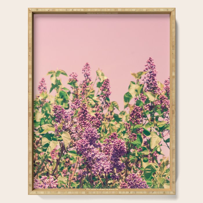 BLISS Serving Tray Gallery Image 1