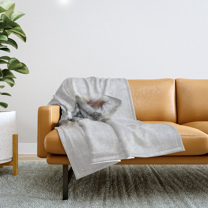 Baby Wolf - Colorful Throw Blanket Gallery Image 1