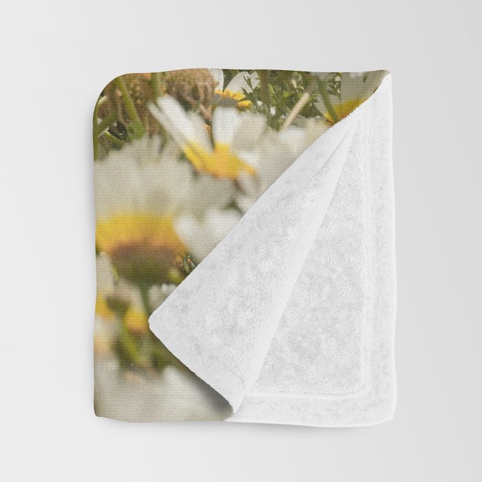 Garden of Daisy Flowers | Nature Photography in Portugal Art Print | Floral Summer Photo Throw Blanket Gallery Image 3