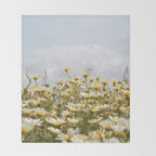 Garden of Daisy Flowers | Nature Photography in Portugal Art Print | Floral Summer Photo Throw Blanket Gallery Image 2