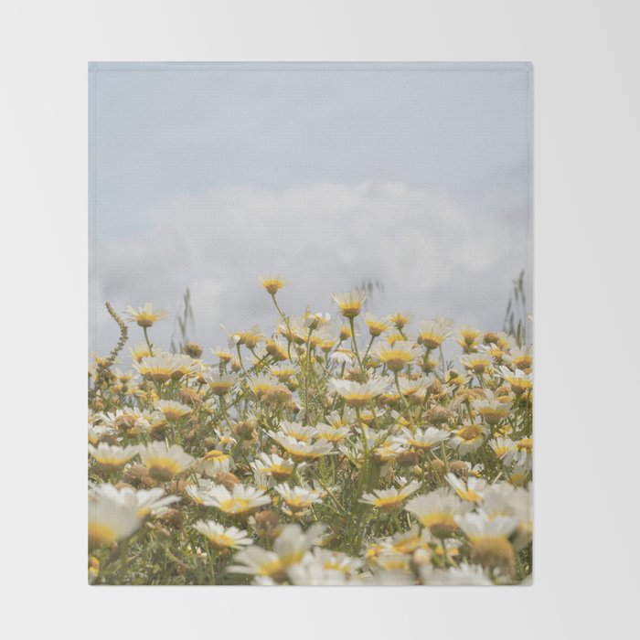 Garden of Daisy Flowers | Nature Photography in Portugal Art Print | Floral Summer Photo Throw Blanket Gallery Image 2