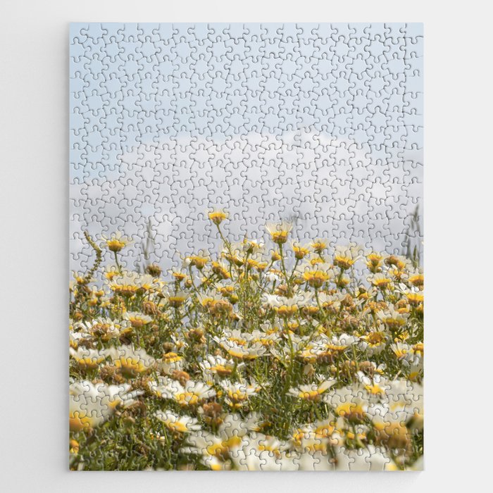 Garden of Daisy Flowers | Nature Photography in Portugal Art Print | Floral Summer Photo Jigsaw Puzzle Gallery Image 1
