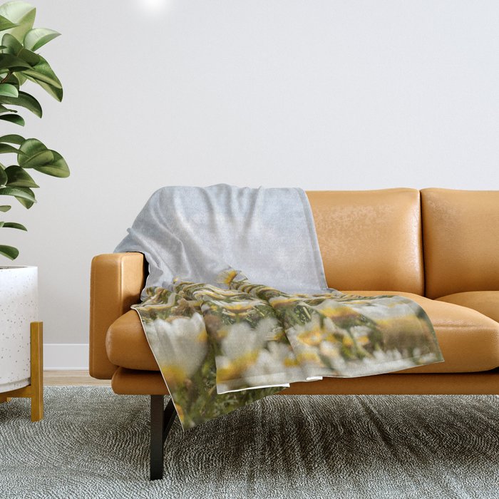Garden of Daisy Flowers | Nature Photography in Portugal Art Print | Floral Summer Photo Throw Blanket Gallery Image 1