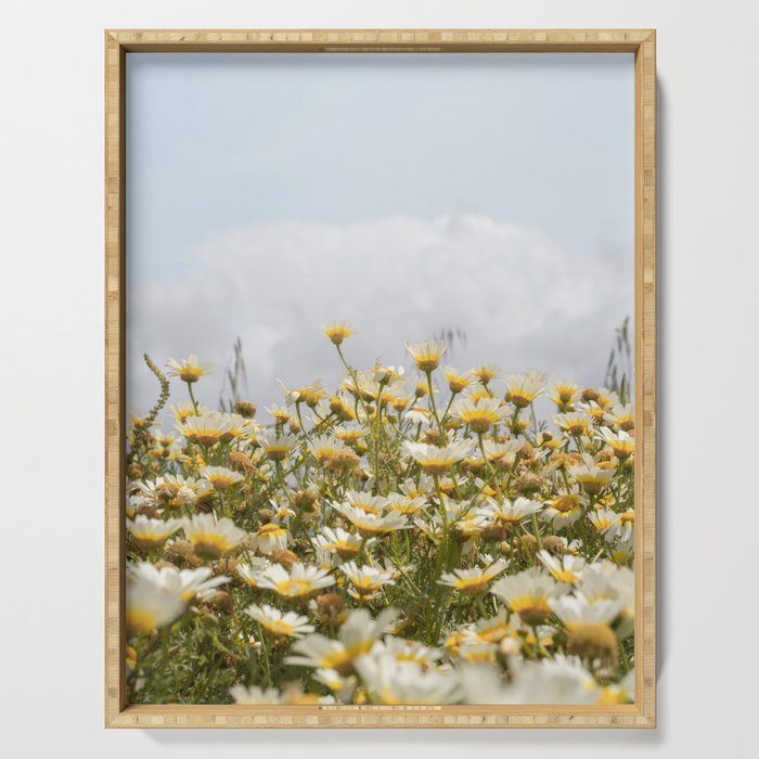 Garden of Daisy Flowers | Nature Photography in Portugal Art Print | Floral Summer Photo Serving Tray Gallery Image 1
