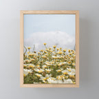 Garden of Daisy Flowers | Nature Photography in Portugal Art Print | Floral Summer Photo Mini Art Print Gallery Image 1