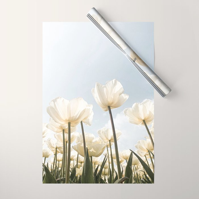 White Tulips In Spring In Holland Photo | Dutch Flowers Art Print |  Europe Travel Photography Wrapping Paper Gallery Image 1