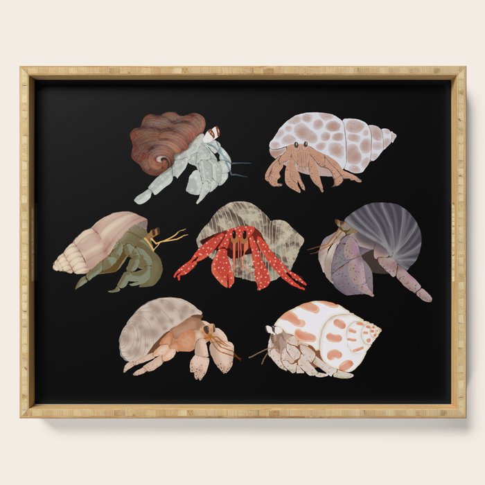 Hermit Crabs Serving Tray Gallery Image 1