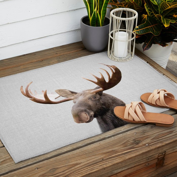 Moose - Colorful Outdoor Rug Gallery Image 2