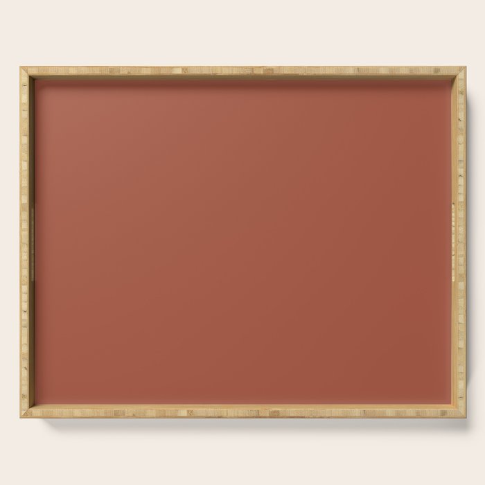 Terracotta Red Solid Color Serving Tray Gallery Image 1