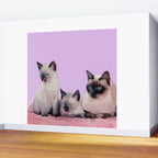 Distracted Wall Mural Gallery Image 2