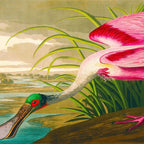 Roseate Spoonbill Bird pink Coffee Mug Gallery Image 2