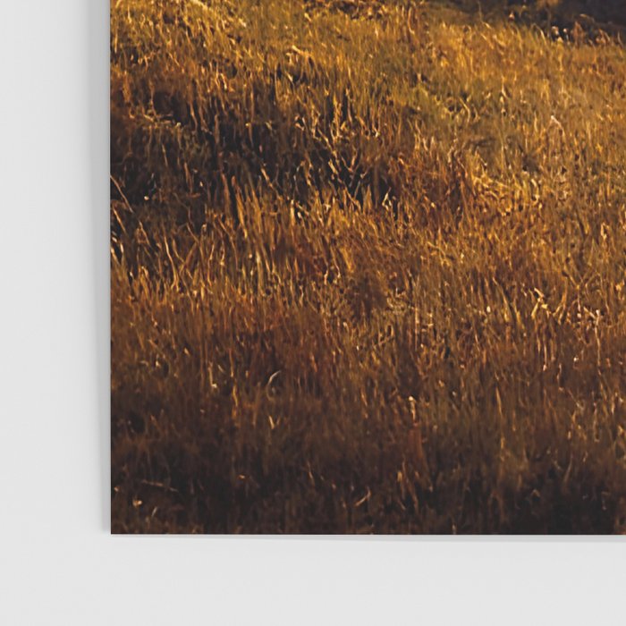 Landscapes of Tuscany Poster Gallery Image 3