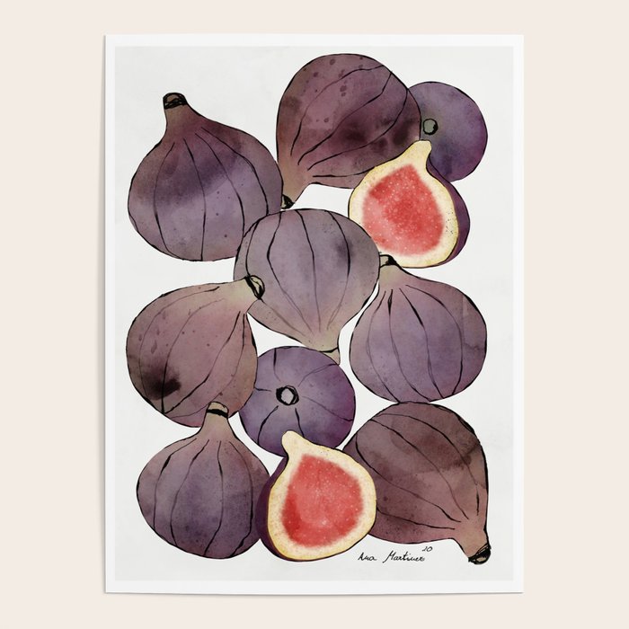 figs still life botanical watercolor Poster Gallery Image 4