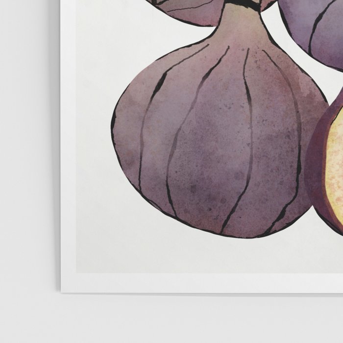 figs still life botanical watercolor Poster Gallery Image 3