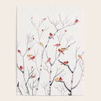 Birch Trees and Cardinal 2  Poster Gallery Image 4