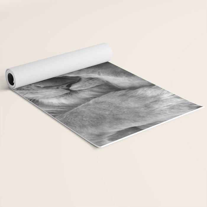 Even Lions Have Bad Days - The Lion Sleeps Tonight black and white photograph  Yoga Mat Gallery Image 2