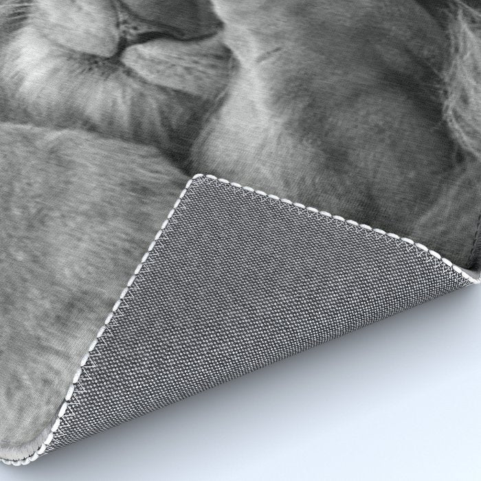 Even Lions Have Bad Days - The Lion Sleeps Tonight black and white photograph  Rug Gallery Image 4