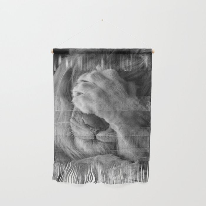 Even Lions Have Bad Days - The Lion Sleeps Tonight black and white photograph  Wall Hanging