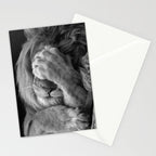 Even Lions Have Bad Days - The Lion Sleeps Tonight black and white photograph  Stationery Card Gallery Image 2