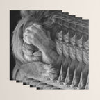 Even Lions Have Bad Days - The Lion Sleeps Tonight black and white photograph  Wrapping Paper Gallery Image 3