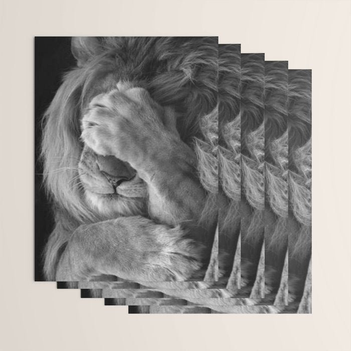 Even Lions Have Bad Days - The Lion Sleeps Tonight black and white photograph  Wrapping Paper Gallery Image 3