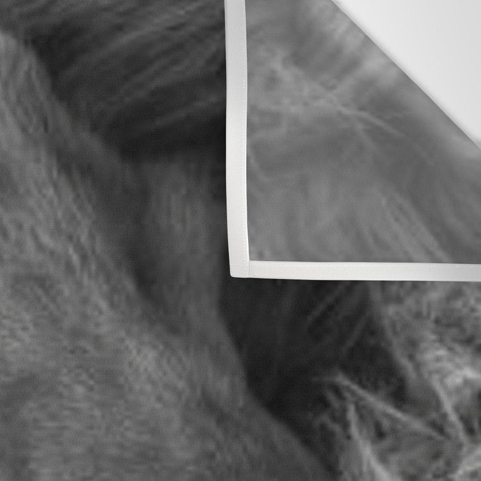 Even Lions Have Bad Days - The Lion Sleeps Tonight black and white photograph  Wall Tapestry Gallery Image 3