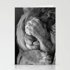 Even Lions Have Bad Days - The Lion Sleeps Tonight black and white photograph  Stationery Card Gallery Image 2