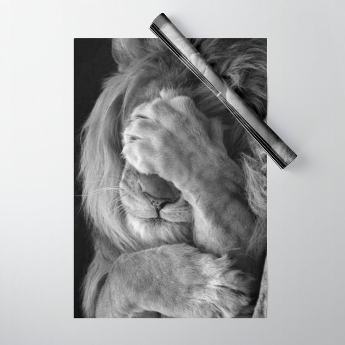 Even Lions Have Bad Days - The Lion Sleeps Tonight black and white photograph  Wrapping Paper Gallery Image 1